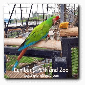 Lembang Park and Zoo | Enjoy The Best Park and Zoo in Lembang Bandung