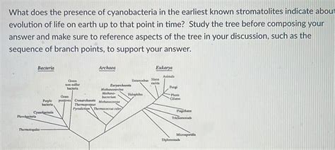 [ANSWERED] What does the presence of cyanobacteria in the earliest - Kunduz