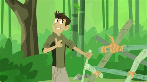 Wild Kratts - S4E15 - Red Panda Rescue | Knowledge Kids