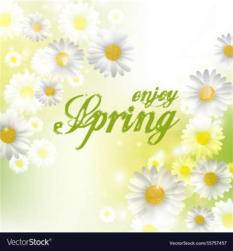 Spring beautiful background with flowers daisies Vector Image