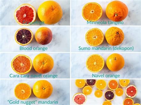 Oranges 101: Learn to cook this bright fruit prized by the ancient nobility