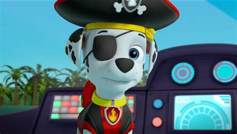 Image - Pirate Pups 74.jpg | PAW Patrol Wiki | FANDOM powered by Wikia