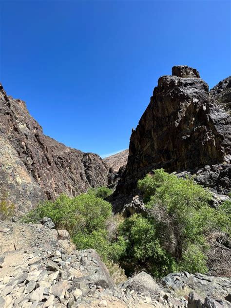 Darwin Falls Hike In Death Valley - Follow Tiff's Journey | Hiking and Backpacking Adventures