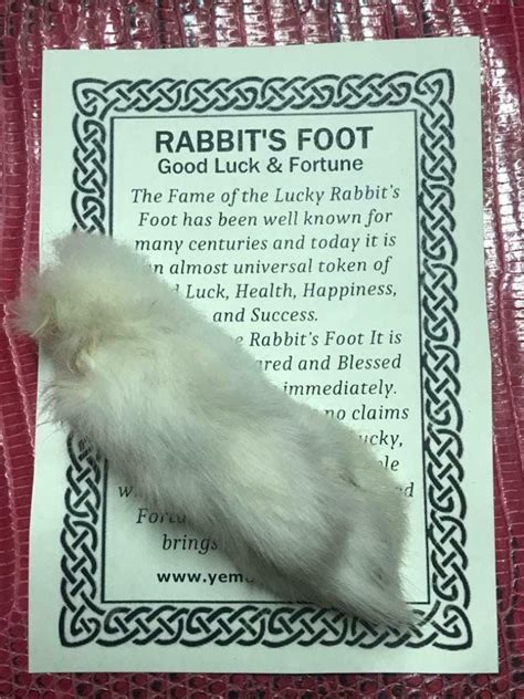 Genuine Lucky Rabbit Foot - Etsy | Suerte, Buena suerte, Fortuna