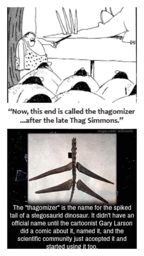 The Thagomizer – Bits and Pieces