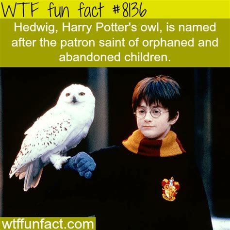 harry potter facts wtf fun facts