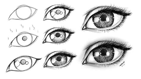 Drawing Eyes Step By Step For Beginners at Drawing Tutorials