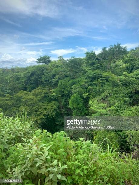 Mountains Panama Photos and Premium High Res Pictures - Getty Images