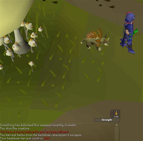 I just got my second herbiboar pet. : r/2007scape