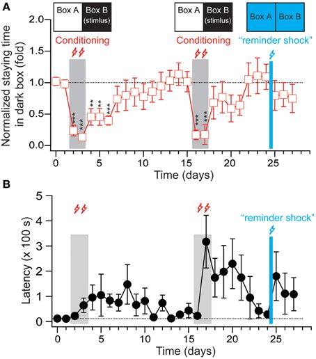 The extinction and reinstatement effects of fear-conditioned memory in ...