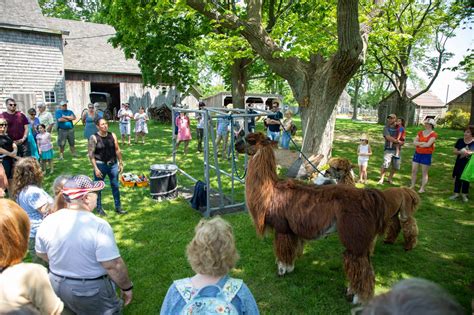 The annual Fleece & Fiber Festival returns to Hallockville Museum Farm