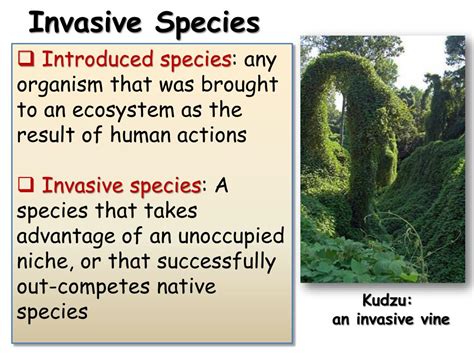 Introduction Of Invasive Species