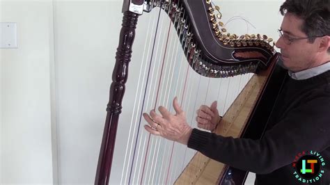 Paraguayan Harp: Pájaro Campana by Nicolas Carter - YouTube