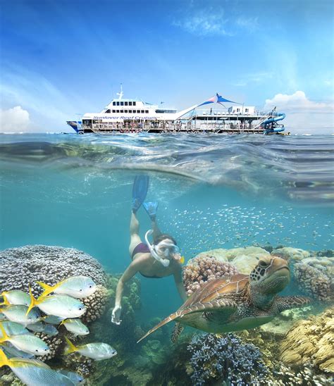 Great Barrier Reef Cruise with Scuba Diving - Cairns - Adrenaline