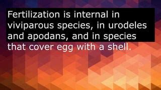 Comparative Anatomy of Vertebrates Chapter 5 Early Craniate Morphogenesis | PPT