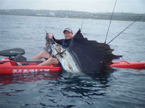 A Magnificent Sailfish caught and Released off Durban,South Africa. The Angler Warren Beckx on a ...