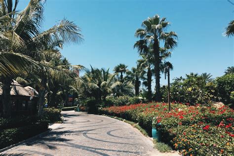 Free stock photo of cayenne, city, dubai