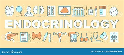 Endocrinology Word Concepts Banner Stock Vector - Illustration of ...