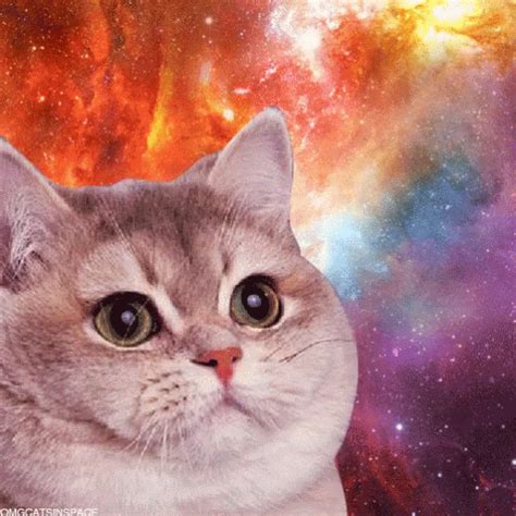 space cats | Space cat, Heavy breathing cat, Cats