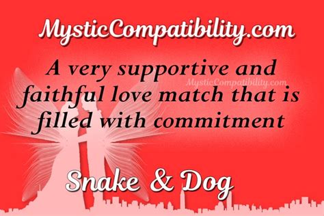 Snake Dog Compatibility - Mystic Compatibility