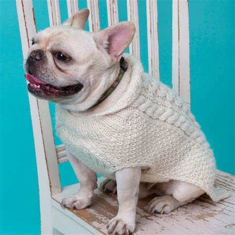 26 Free Crochet Dog Sweater Patterns - Guide Patterns