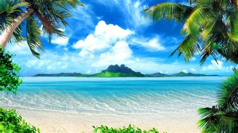 Palm Tree Beach Wallpaper (53+ images)