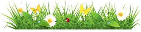 Free Spring Borders Cliparts, Download Free Spring Borders Cliparts png ...