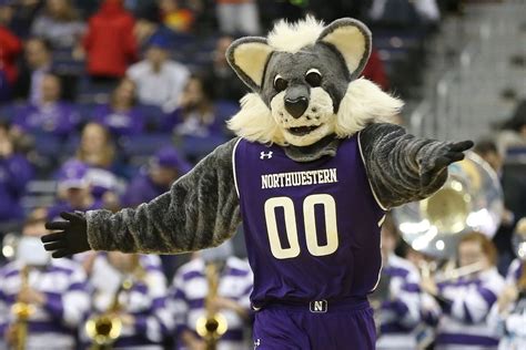 Best Templates: Northwestern Wildcat Mascot