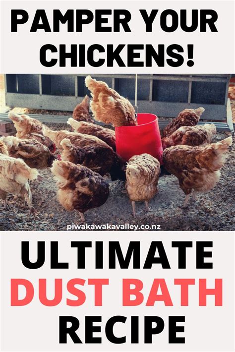 Ultimate Chicken Dust Bath Recipe: 3 Powerful Additions your Chickens will Love | Dust bath ...