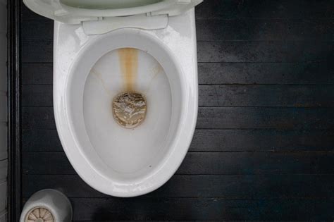 Why Does My Toilet Smell Like Sewage? 5 Causes & Solutions