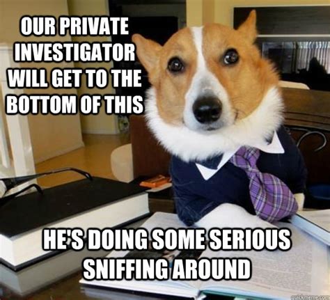 Our private investigator will get to the bottom of this He's doing some serious sniffing around ...