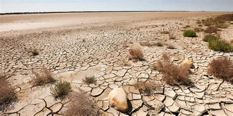 Causes and Effects of Desertification | Greentumble