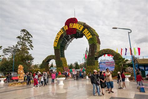 Da Lat Flower Festival: Exploring the Beauty and Fragrance of Vietnam's ...