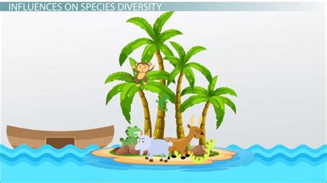 Theory of Island Biogeography | Definition & Equilibrium - Lesson | Study.com