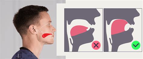 Where Should Your Tongue Rest? Proper Tongue Position Explained | Mewing.coach