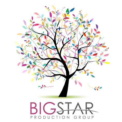 Local PPC Ad Campaign - Big Star Production Group