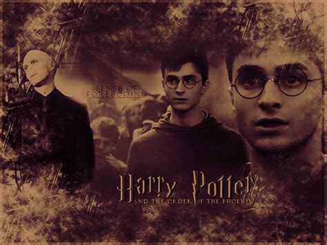 Harry vs Voldemort - Harry James Potter Wallpaper (17376115) - Fanpop