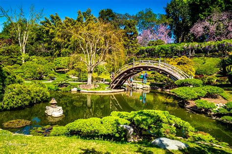 Huntington Library, Art Collections & Botanical Gardens | Los Angeles, USA Attractions - Lonely ...