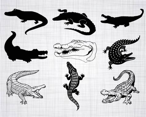 Crocodile clipart silhouette pictures on Cliparts Pub 2020! 🔝