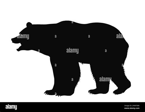 walking grizzly bear, black silhouette Stock Vector Image & Art - Alamy