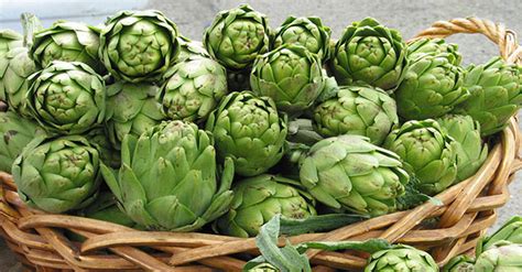 AcuDetox Clinics South Africa Health benefits of Artichokes - AcuDetox Clinics South Africa