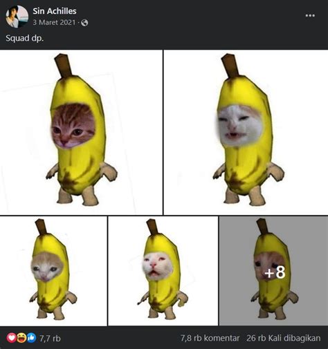 compilation of cats in banana suit | Sad Banana Cat | Know Your Meme