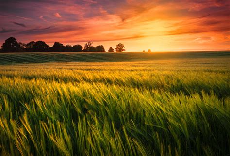 Stunning Iowa Sunrises and Sunsets [PHOTOS]