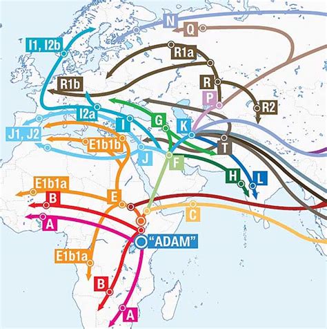 Barnes Cornwall Y DNA - R-S18890 - FT161969 - BY100453 - subclades of Z8 under U106 haplogroup