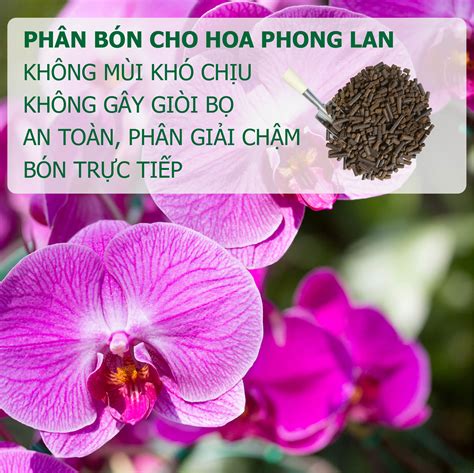 NEEMZYME - 1 KG - Phân bón hữu cơ vi sinh, dạng hạt. Sử dụng cho diện tích 1.000m2. Giải pháp an ...