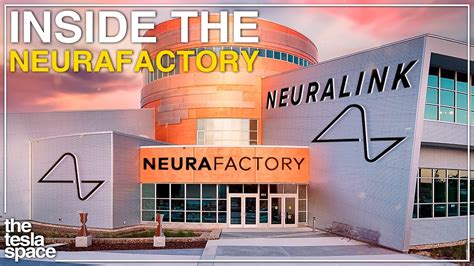 Inside Elon Musk's Neuralink Neurafactory! - YouTube