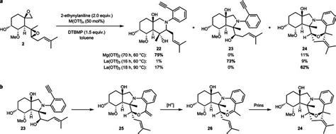 Metal triflate catalysed reactions of fumagillol with... | Download ...