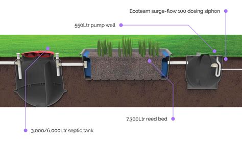 7300L Reed Bed - Ubi Aqua Waste Water Treatment