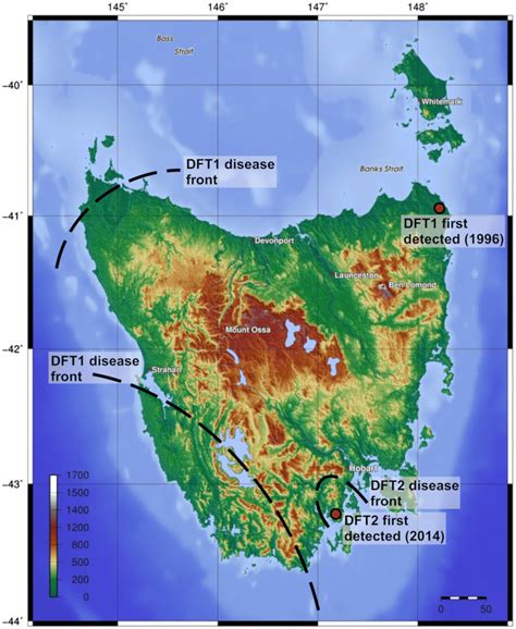 Tasmanian Devil Habitat Map