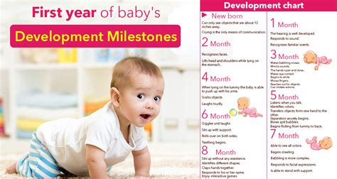 1 Year Baby Monthly Development Chart or Milestone